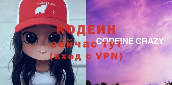 apvp Няндома