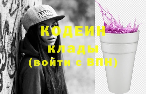 apvp Няндома